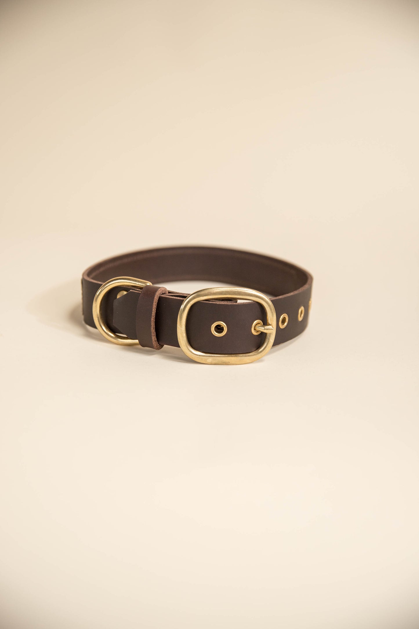 
                  
                    LV Dog Collar
                  
                